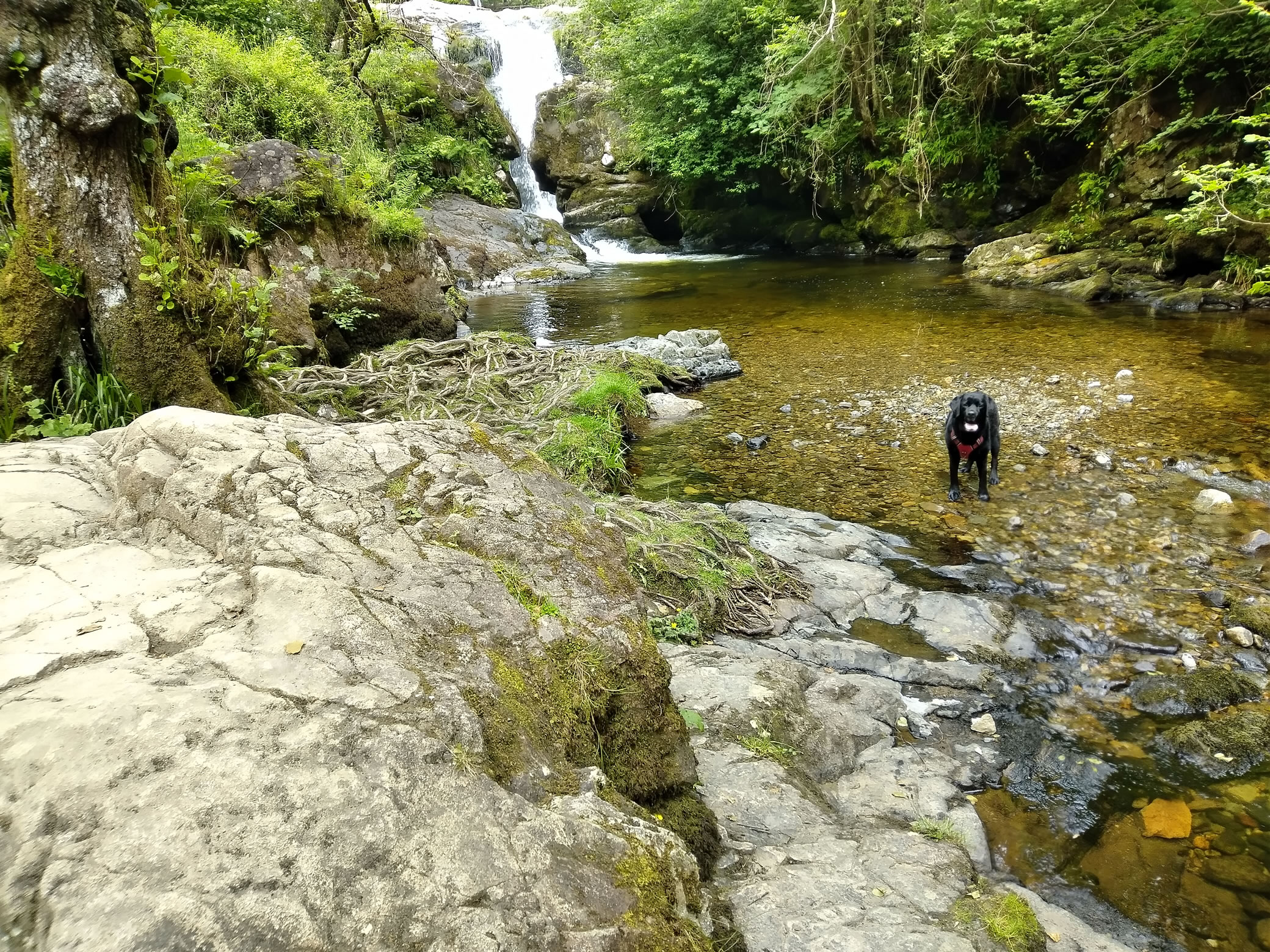 Aira Force - Image 1, Jun 24, 2024